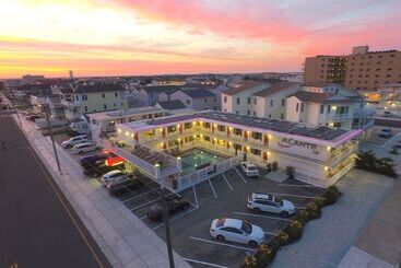 ホテル Alante Oceanfront Motor