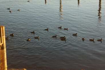 Отель Lake Marina Inn