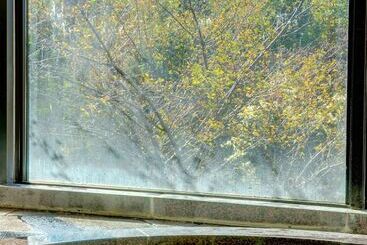 旅館 Yamanakako Shuzanso