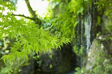 ריוקאן Yugawara Manyoso