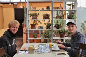 هاستل Hospedaje Familiar B&b Virma