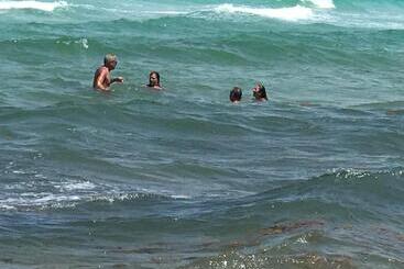 فندق Bamboo Lodge