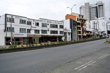 Отель San Martin