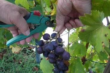 민박 Chambres D Hotes Le Mas Castel