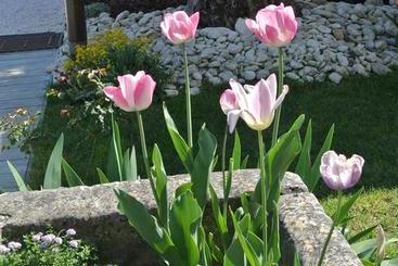 B&b Clos Les Arpents Verts