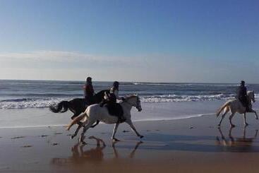 酒店 Hôtel Le Printemps