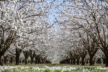 דירות לתיירים Le Clos D Estellan   Piscine Chauffée