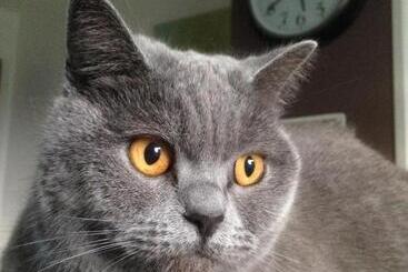 住宿加早餐  Chambre D Hôtes Du Clos Bamboo