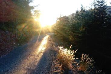 ベッドアンドブレックファースト La Bastide Des Pins