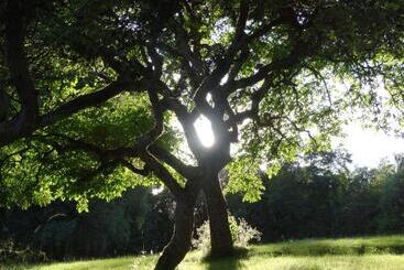 ベッドアンドブレックファースト Le Beauvais, Son Gîte, Ses Chambres En Bourgogne
