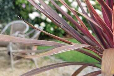 Bed and Breakfast Traou Ar Vilin