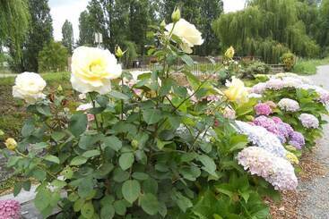 ベッドアンドブレックファースト Chambres D'hôtes La Bégaudière