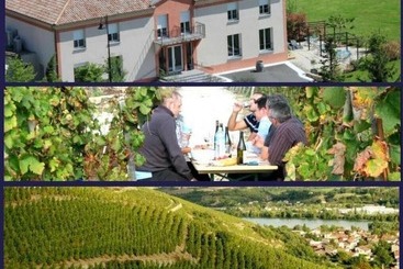 ホテル Le Domaine Des Vignes Ampuis Lyon Sud Vienne