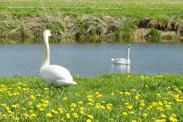 Резиденция Espace Morteau