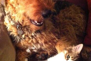 ベッドアンドブレックファースト Ferme Du Grand Hotel Du Bois