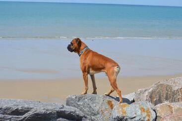 בית מלון כפרי Auberge Des Remparts