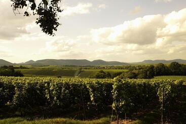 Weinhotel Fritz Walter