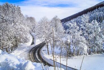 ホテル Gasthof Braun