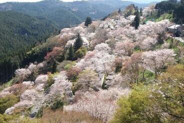 료칸 吉野荘湯川屋 Yoshinosou Yukawaya
