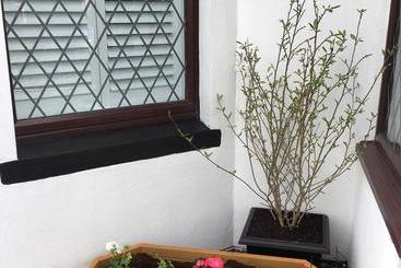 تختخواب و صبحانه Southern Comfort Guest House