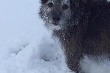 Shandon Farmhouse Bed And Breakfast