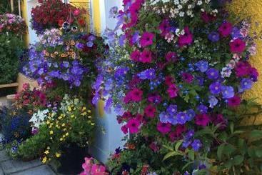 צימר Globe Guesthouse