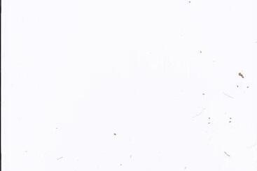 Birtles Farm Bed And Breakfast