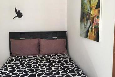 هاستل The Backpacker Hostal