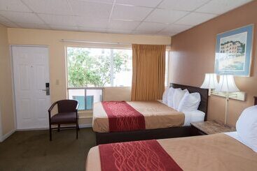 Мотель The Palms On Ocean