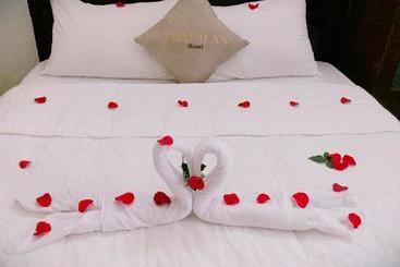 هتل Thanh An Hostel