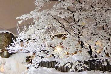 The Otaornai Backpacker S Hostel Morinoki