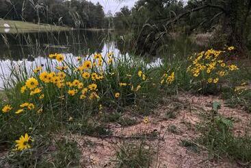 Adelines Bed And Breakfast