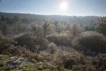 펜션 Maison D Hôtes De Charme   Ancien Moulin En Pleine Nature   La Paulusmühle