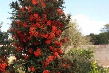 فندق Casasolare Rakalia