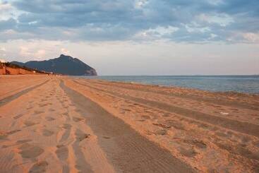 בית מלון כפרי Cincinnato Wine Resort