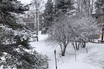 Отель Guesthouse Borealis