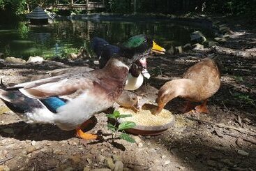 ホテル Vanilla Hills Resort