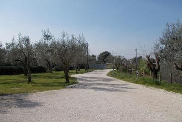 تختخواب و صبحانه Casa Degli Ulivi