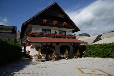 هتل Hostel Vila Bistrica