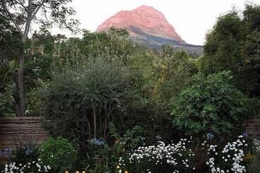 پانسیون Blaauwheim Guest House