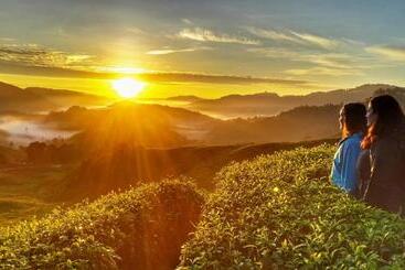 ペンション 100 Oastel Coliving