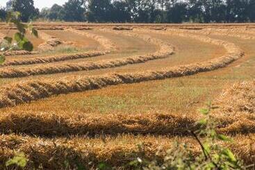 펜션 Gîte De Charme La Cour Souveraine