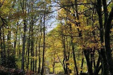 צימר Chambre D Hôtes Se Sentir Libre Noisette