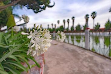 فندق Oviedo   Club Campestre Teotihuacan