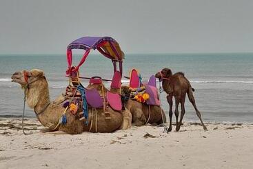 بنسيون Dar El Kahina Djerba