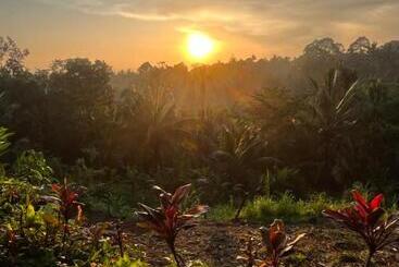 ホテル Tetebatu Jungle Vibes