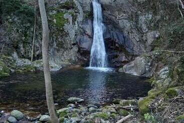 住宿加早餐  Les Terrasses De Collanges