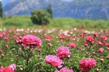 فندق Sur Sur Patagónico