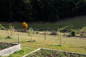 بنسيون Sundays