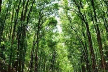 Bed and Breakfast Affordable Bedspacer Good For 8 With Breakfast